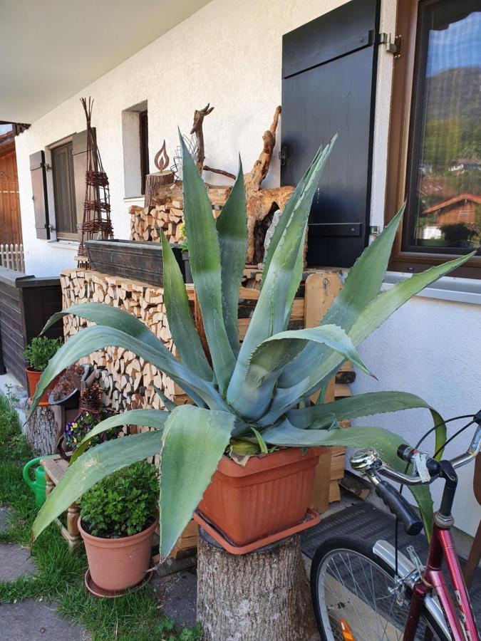 Heimbeck Kochel Apartment