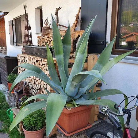 Ferienwohnung Heimbeck Kochel Kochel am See Exterior foto